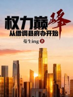 权力巅峰，从借调县府办开始